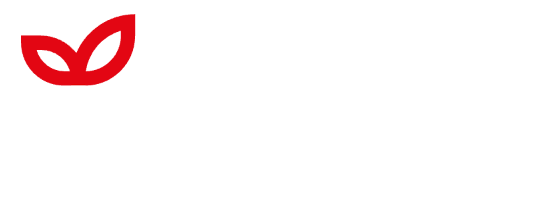 мебель дизайн